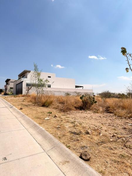 Terreno en venta en el Molino zona dorada 